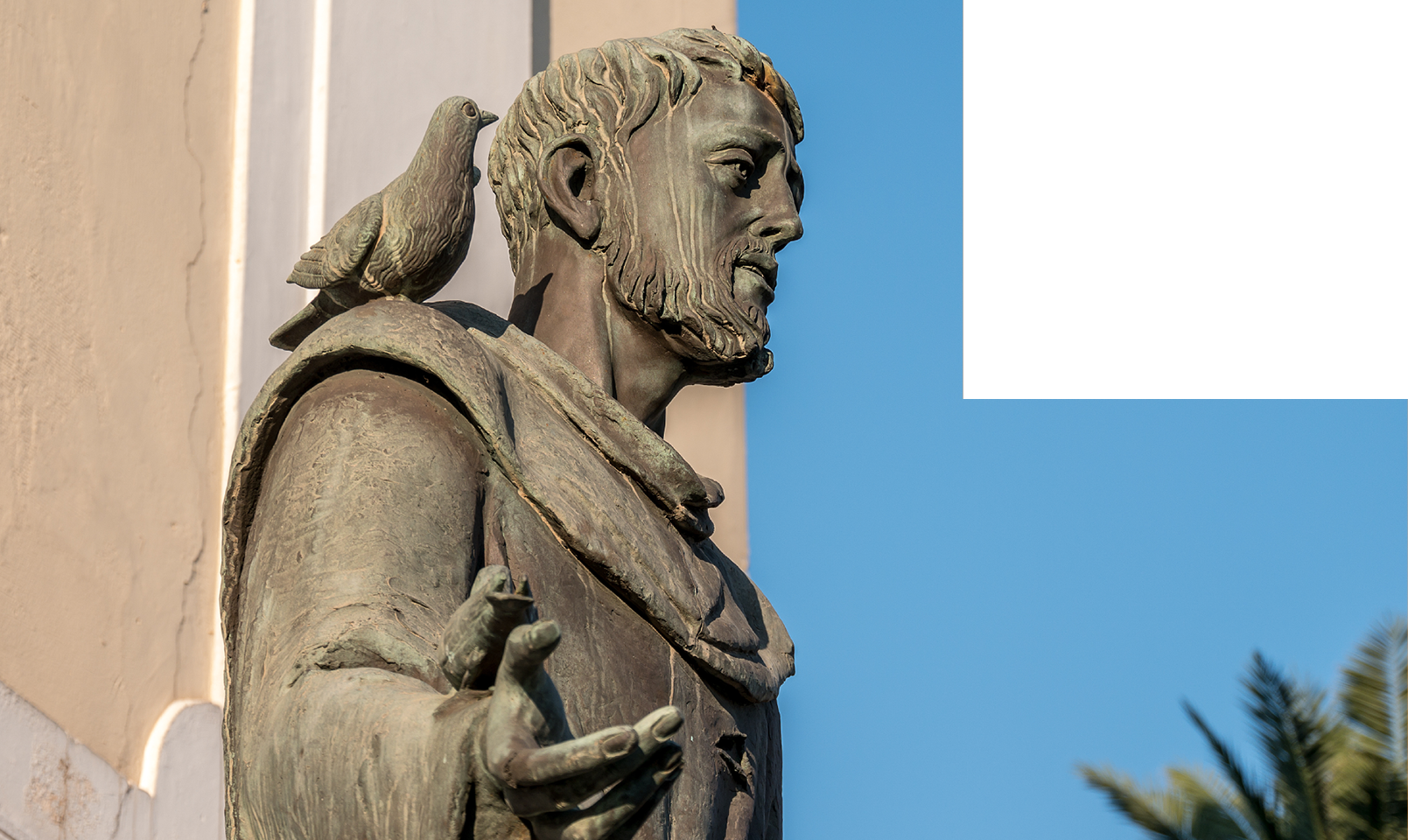 St. Francis statue with bird